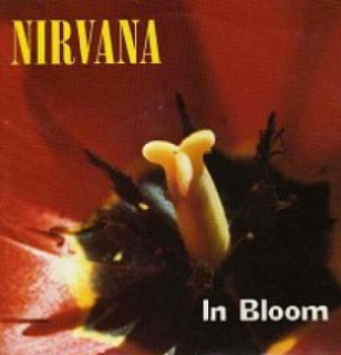 Makna Lagu In Bloom – Nirvana